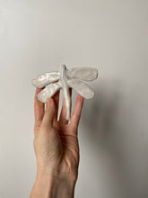 Load image into Gallery viewer, Dragonfly no.2