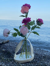 Load image into Gallery viewer, Möbius Stem Holder - PRE-ORDERS OPEN