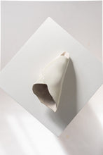 Load image into Gallery viewer, Abstract Conch Sculpture no.1