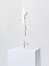 Load image into Gallery viewer, Preserve Stem Holder (Mini)