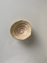Load image into Gallery viewer, Spiral Bowl (Terra Cotta)
