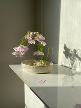 Load image into Gallery viewer, Spiral Stem Holder (PRE-ORDER)
