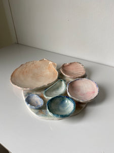Six Shell Tray (Watercolour)