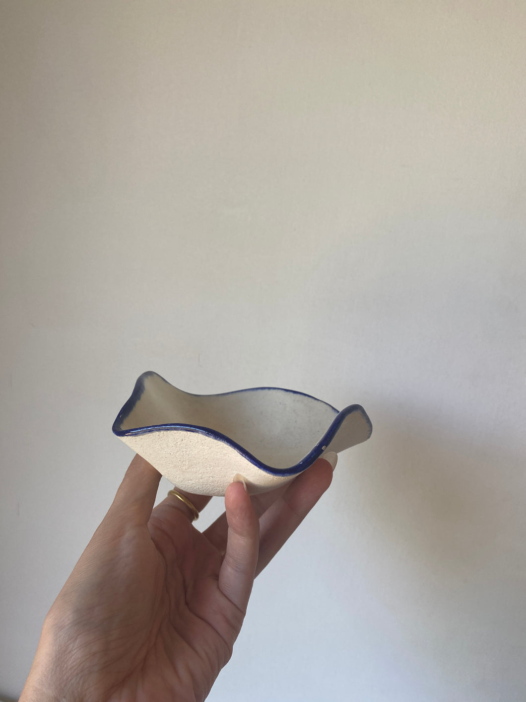 Small Wavy Catchall (Sample)