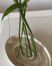 Load image into Gallery viewer, Spiral Stem Holder (PRE-ORDER)
