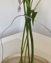 Load image into Gallery viewer, Spiral Stem Holder (PRE-ORDER)
