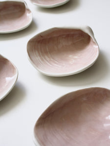Venus Clam Shell (Classic)