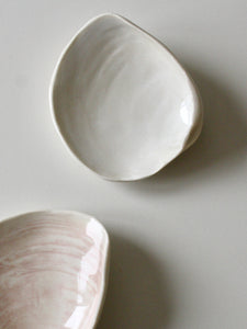 Venus Clam Shell (Natural)